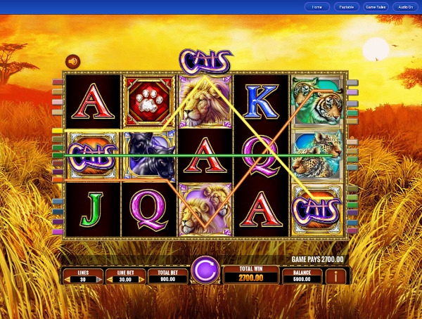 Игровой автомат Cats - немалые выигрыши для игроков казино Вулкан