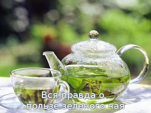 Вся правда о пользе зеленого чая
